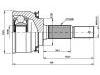 球籠 CV Joint:39100-2J205